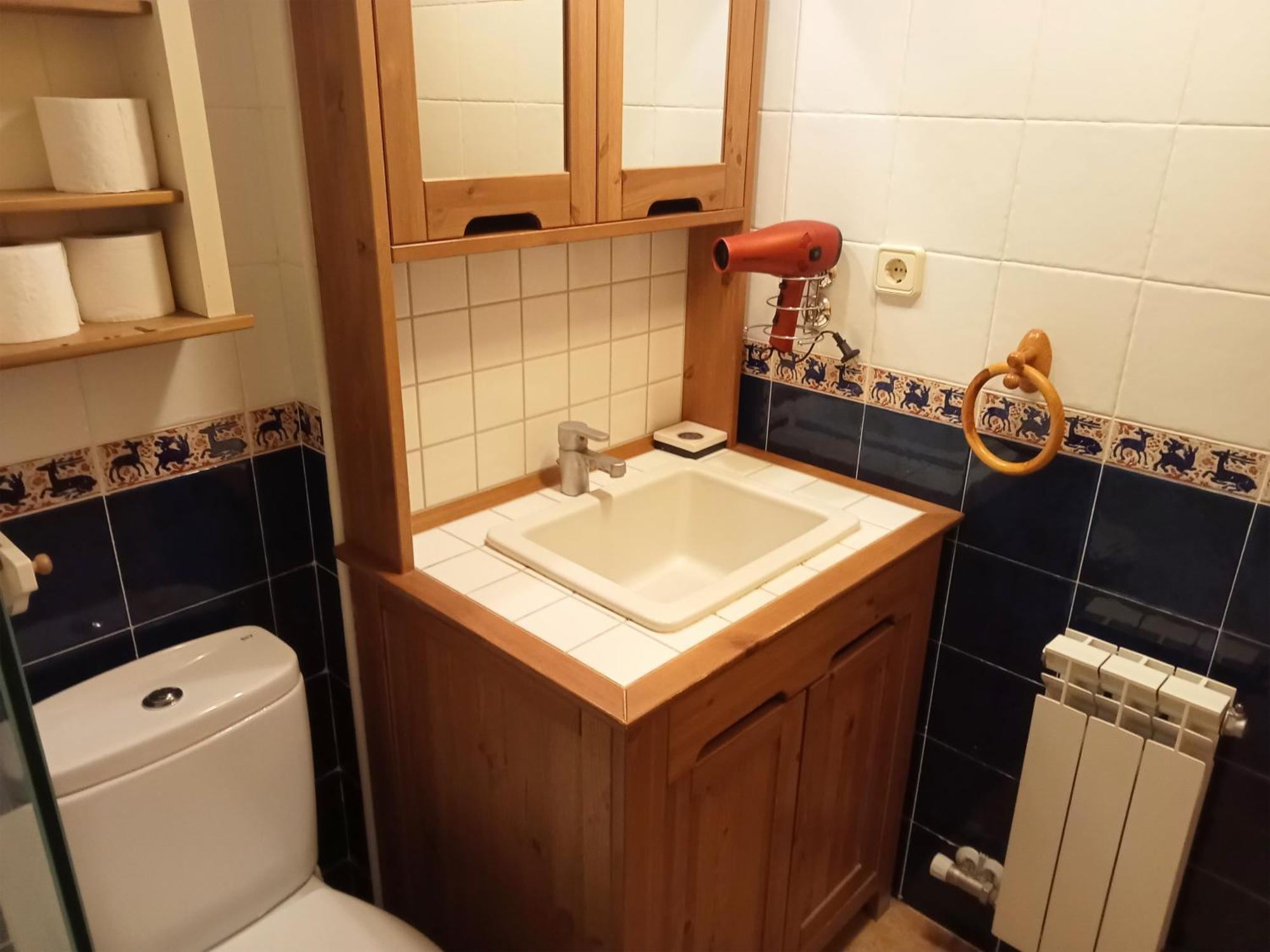 Apartamentos Valle De Tena - Biescas 3000 外观 照片